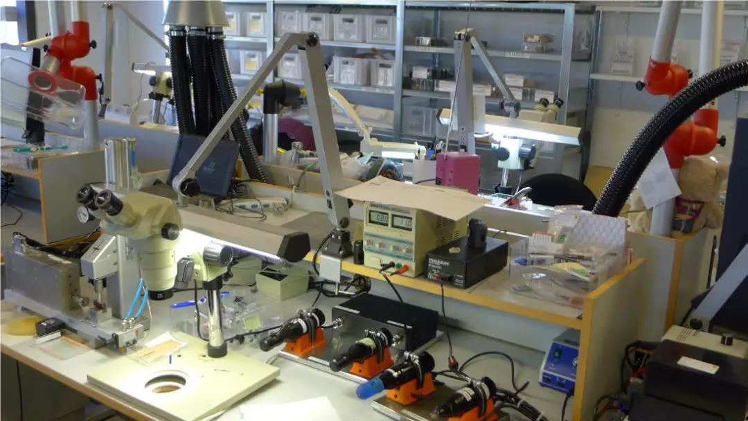 探訪DPA丹麥工廠，發(fā)現(xiàn)Core技術3毫米話筒頭的研發(fā)過程