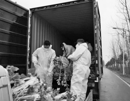 湖北:廣電局“做媒”充實“菜籃子”